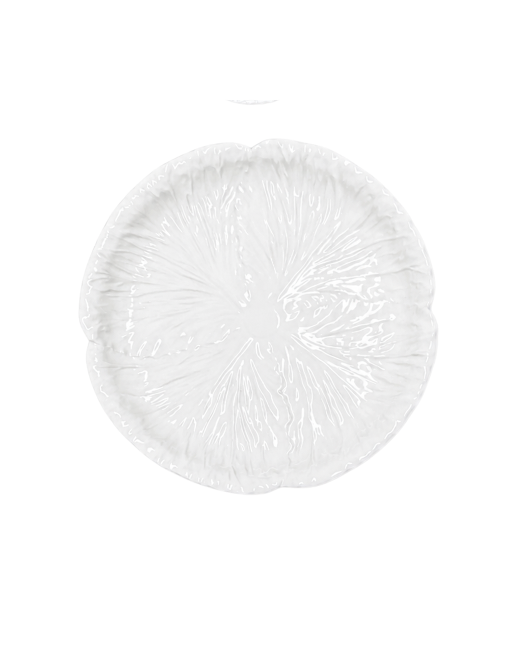 White Radicchio Dinner Plates (Set of 6)