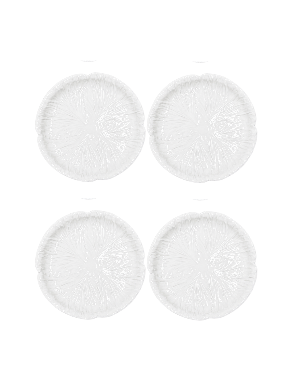 White Radicchio Dinner Plates (Set of 6)