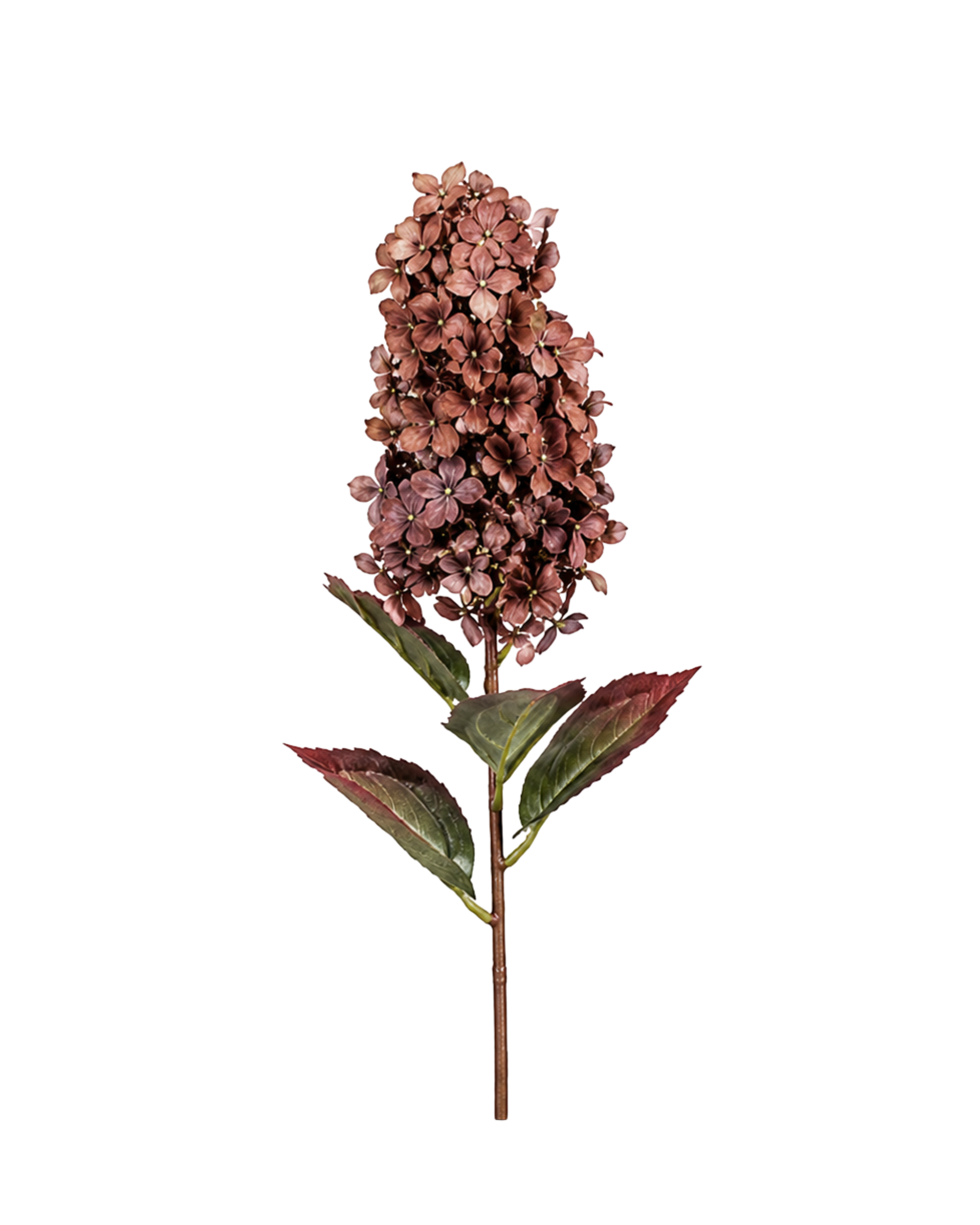 Rispenhortensie Kupfer Realtouch