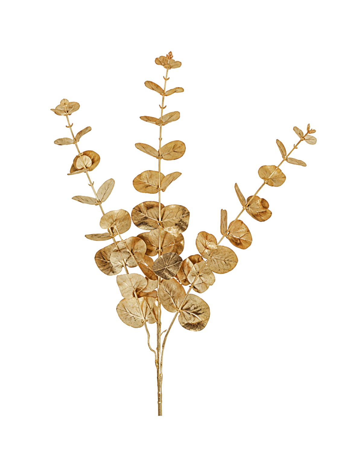 Eukalyptuszweig Gold