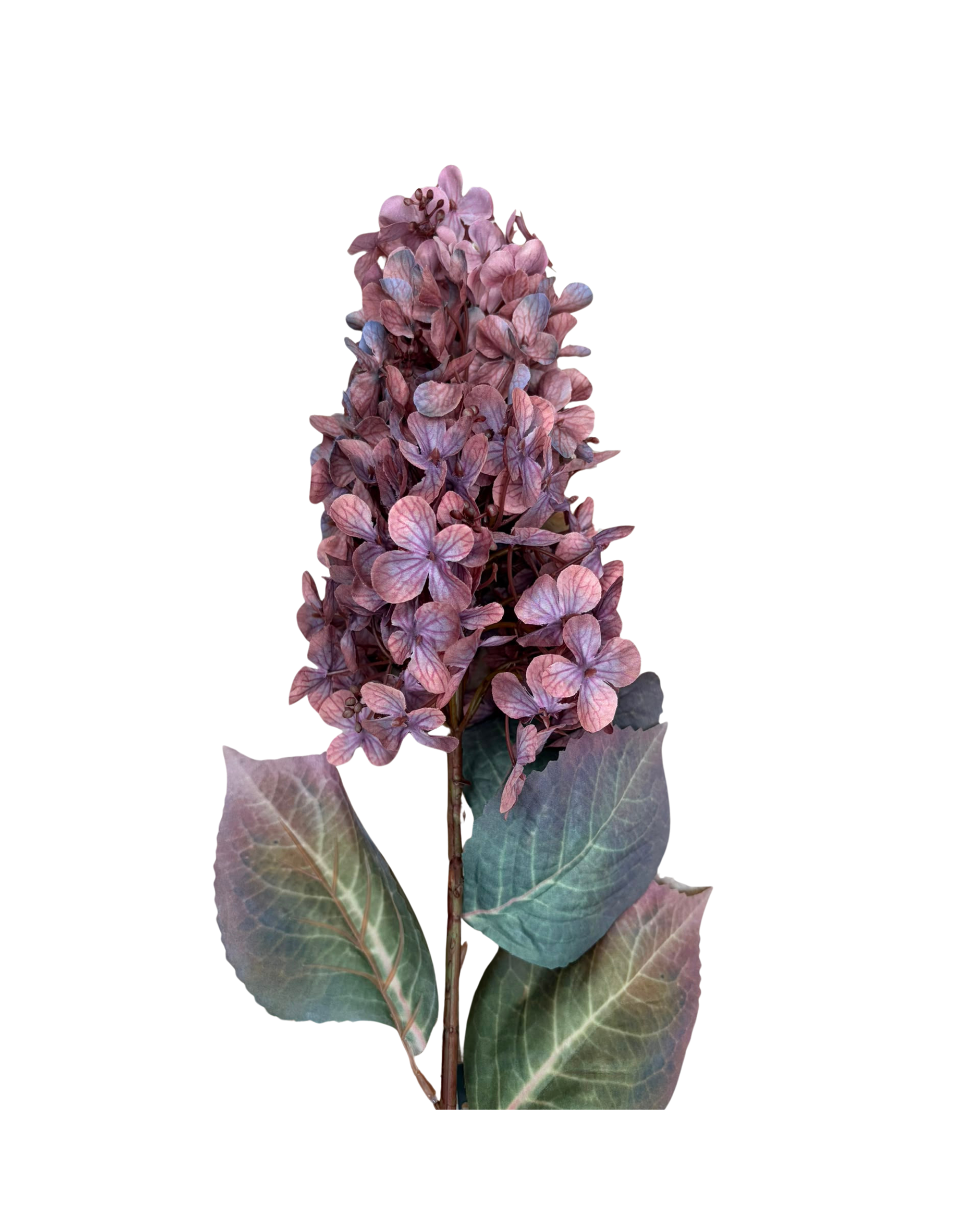 Rispenhortensie Lila Realtouch