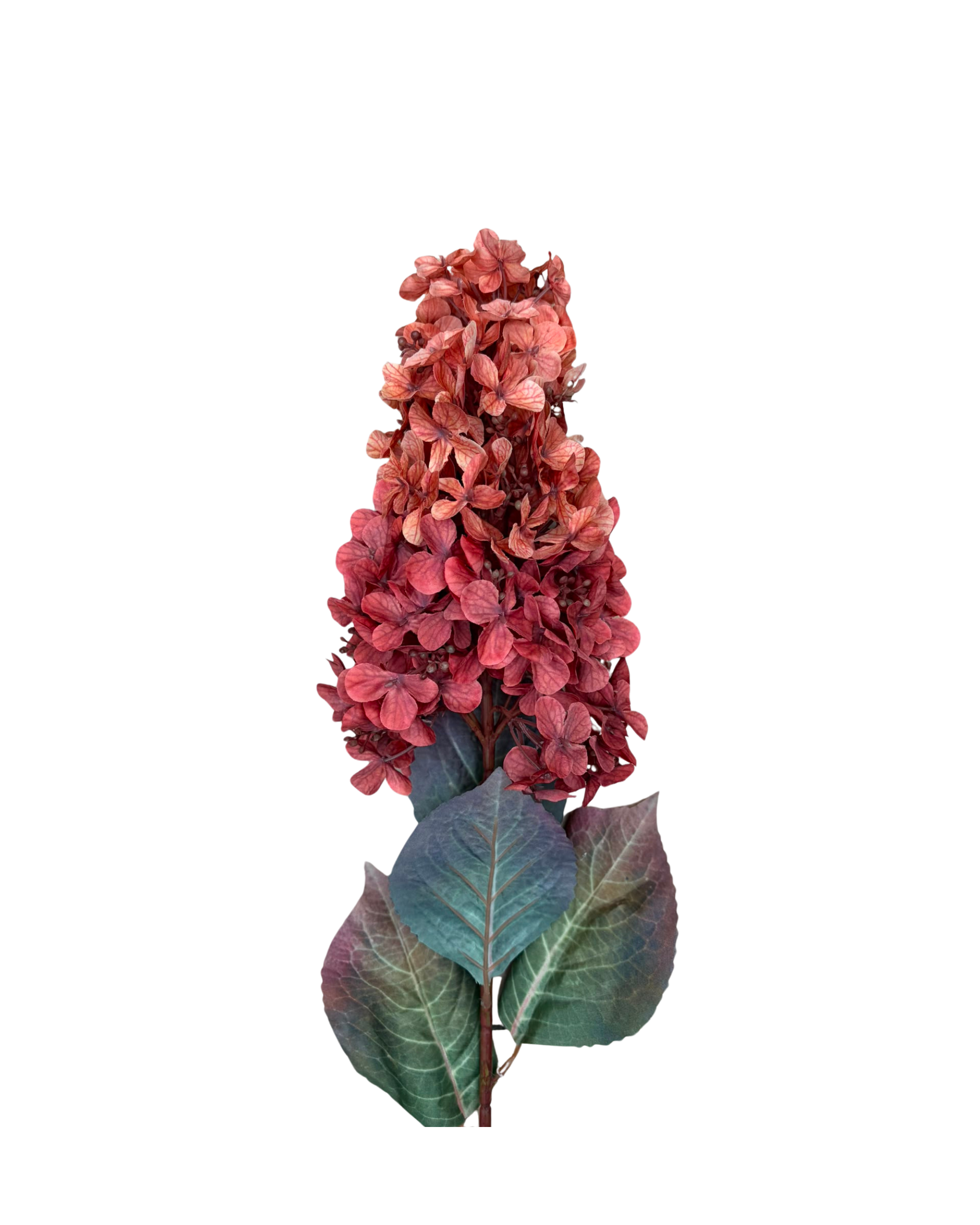 Rispenhortensie Orange-Rot Realtouch