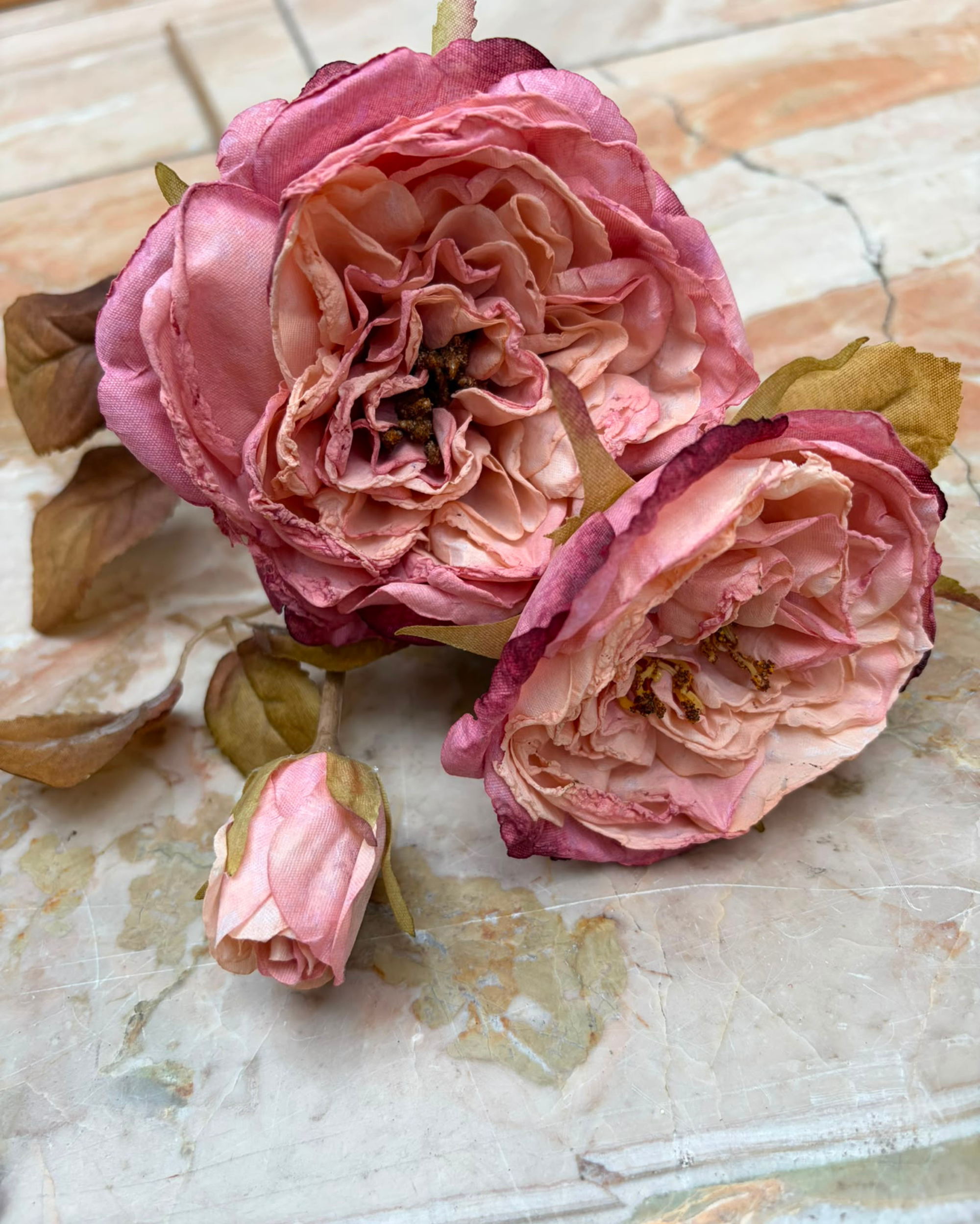 Rose Austin in Rose-Lila Realtouch