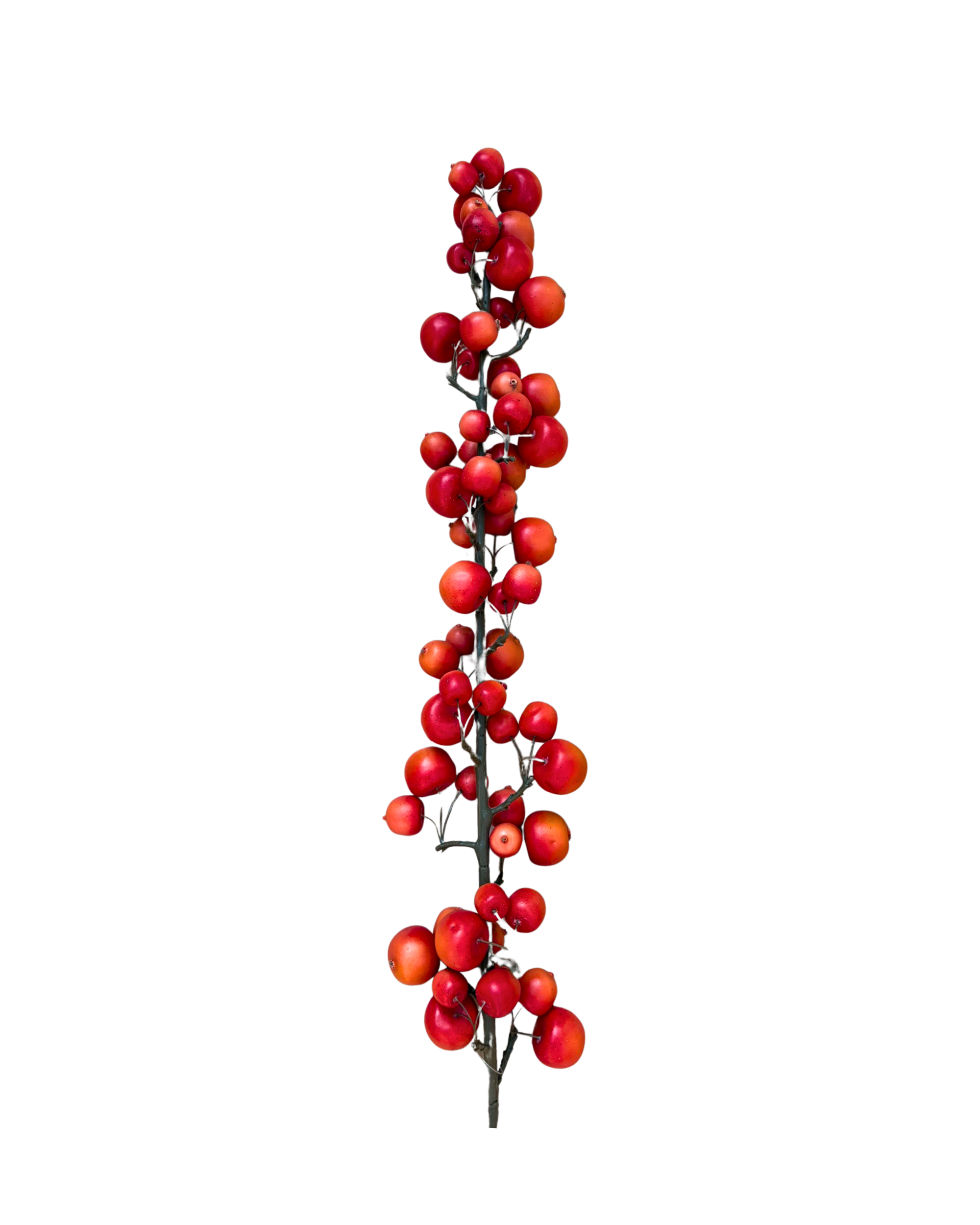 Zweig Apfel XL