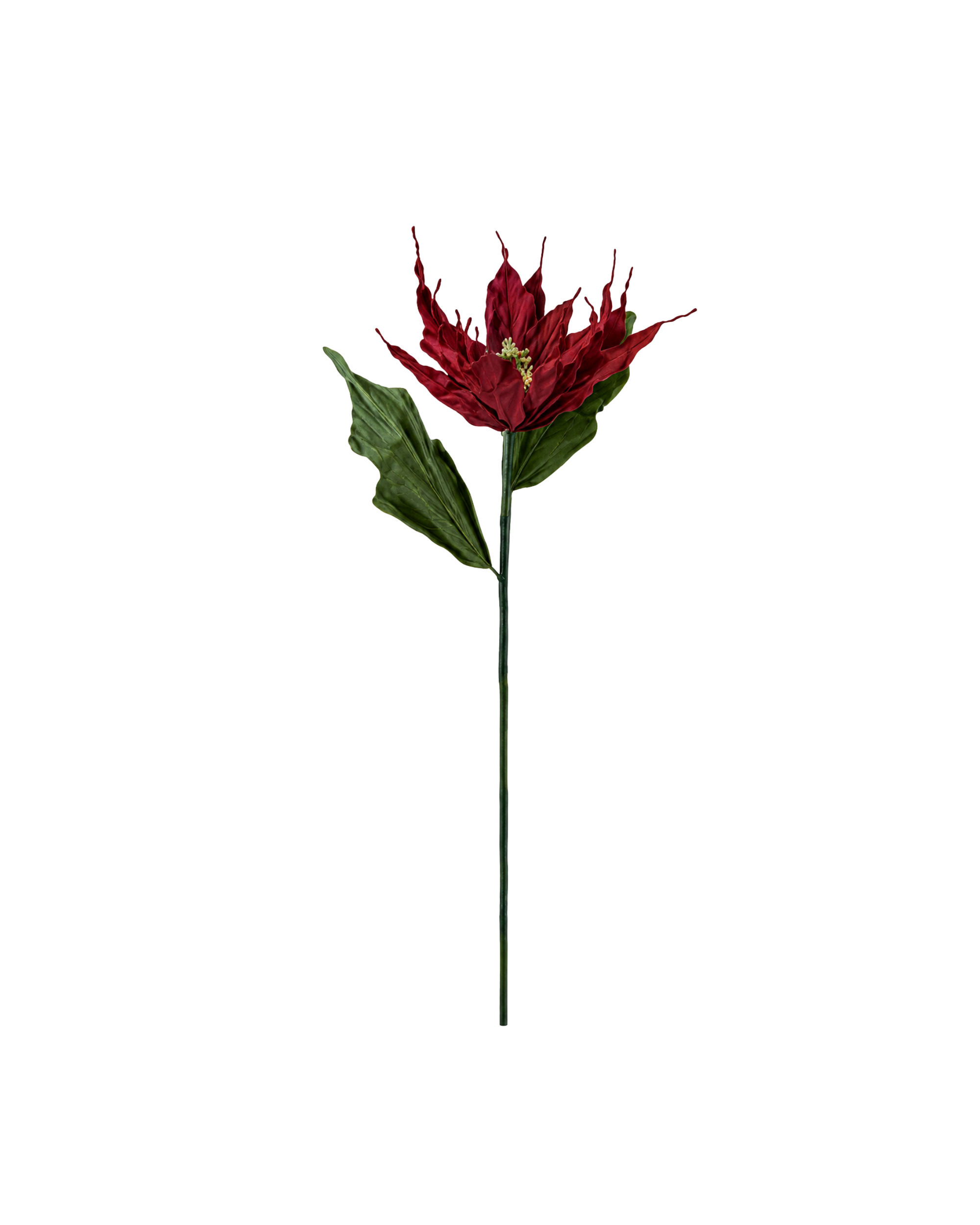 Papierblume Weihnachtsstern Rot