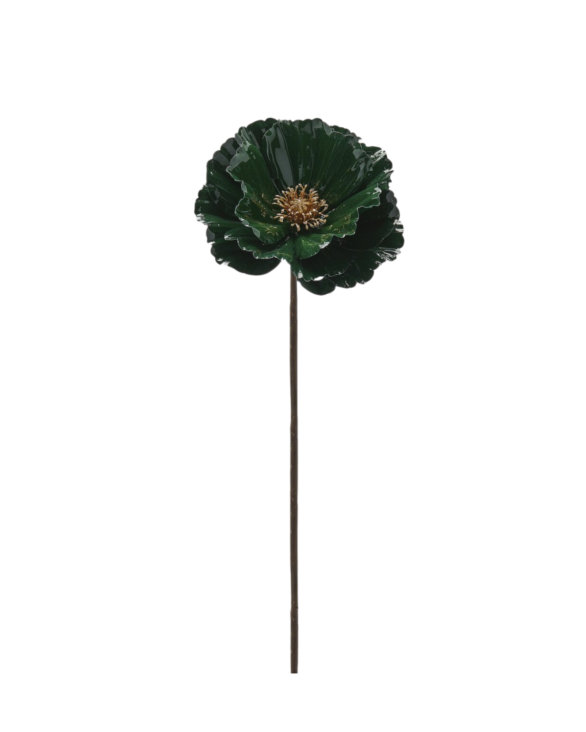 Poppy branch Glossy
