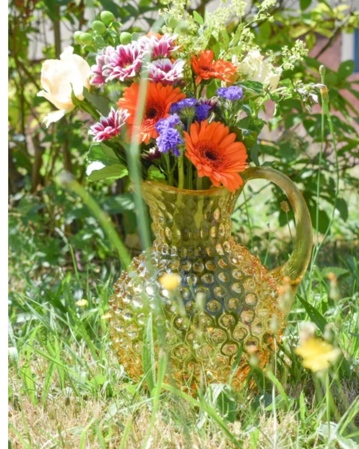 Anna von Lipa Hobnail Jug Champagne