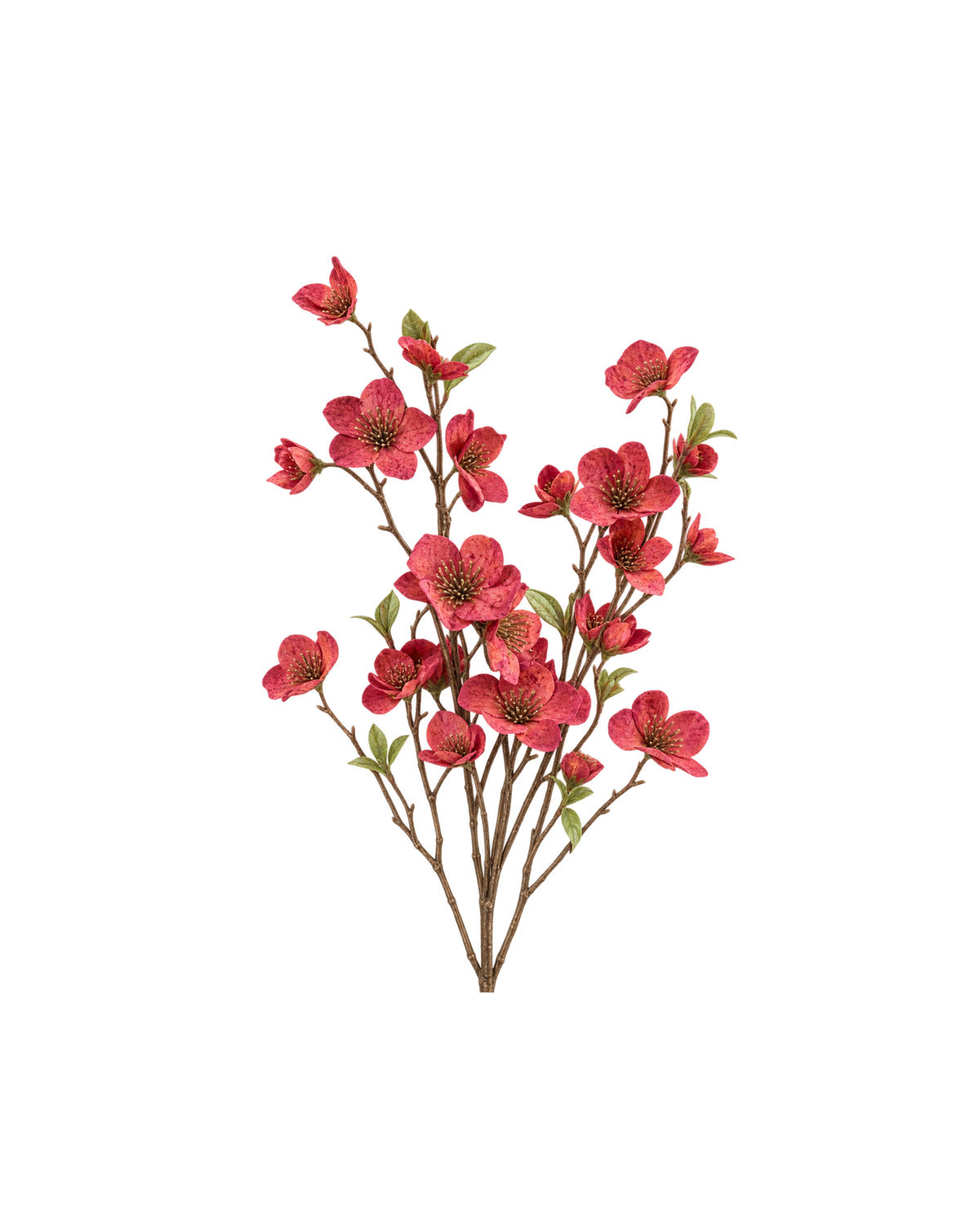 Christrose Zweig Rot Realtouch