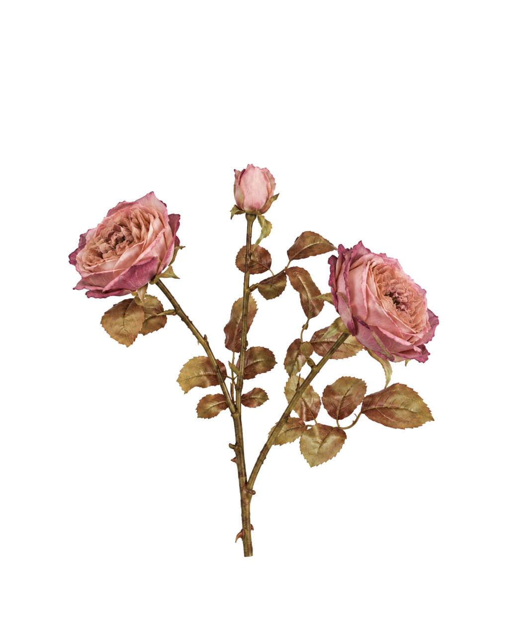 Rose Austin Real-Touch
