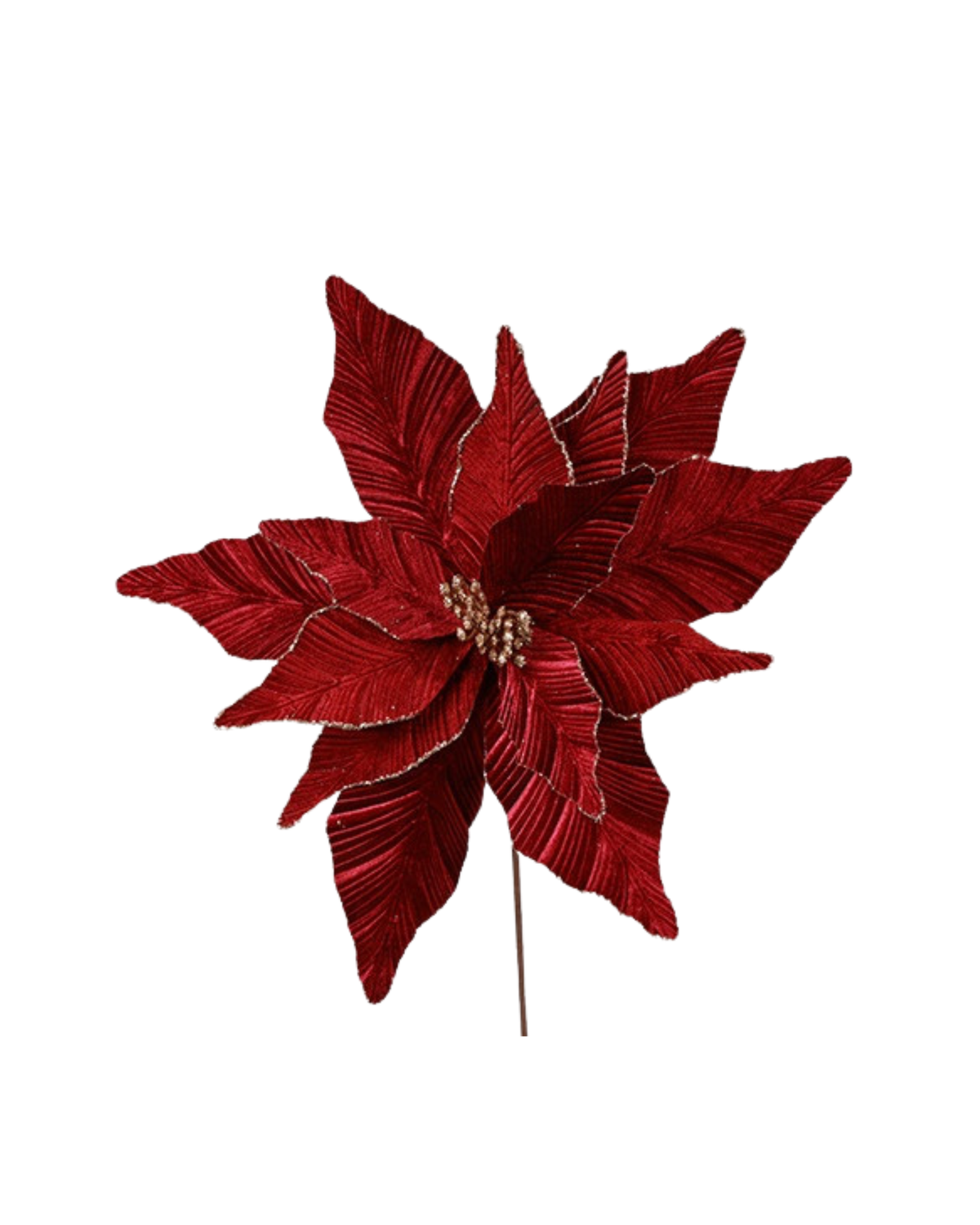 Weihnachtsstern Samtoptik Dunkelrot, 65 cm