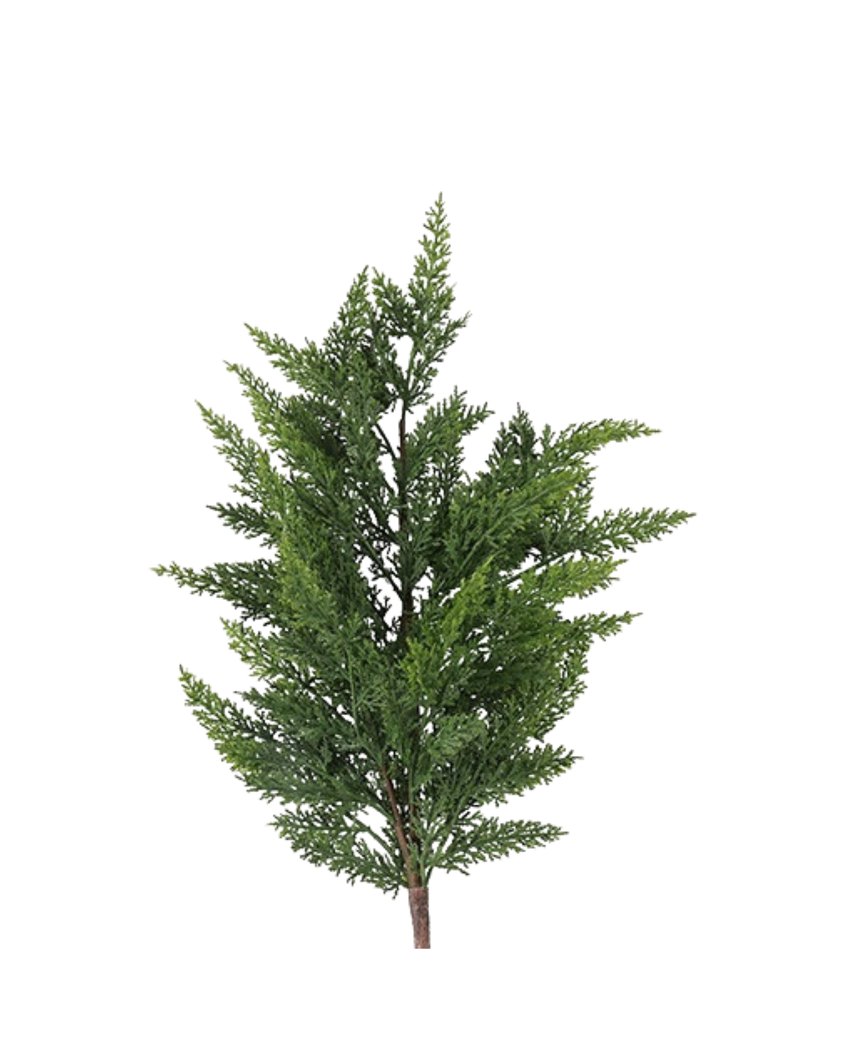 Tannenzweig Picea Grün, 93 cm