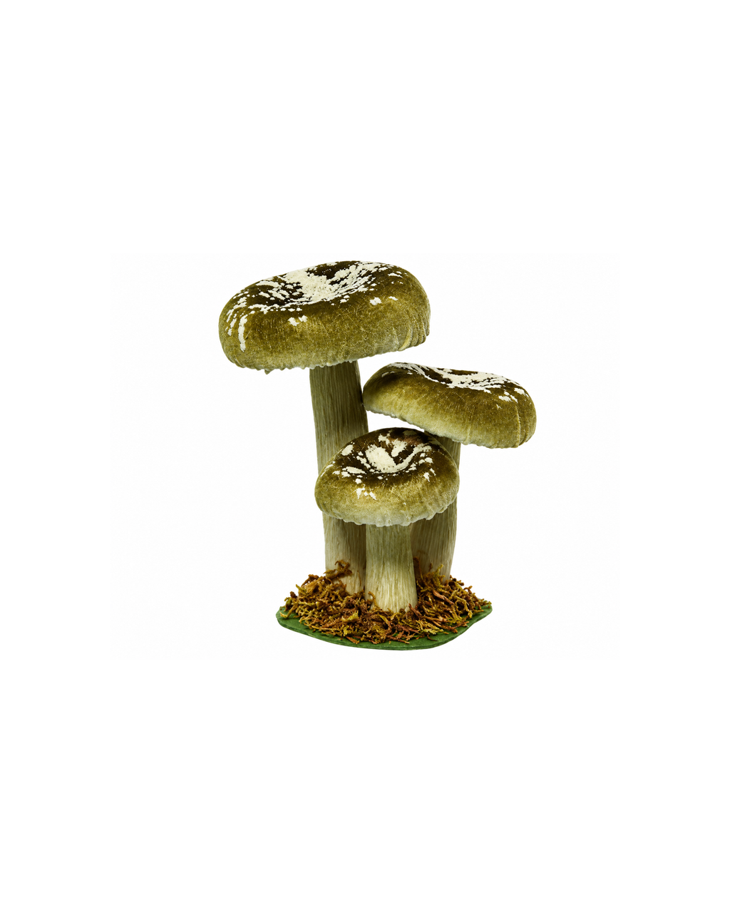 Samtpilz Olivgrün, H 17 cm
