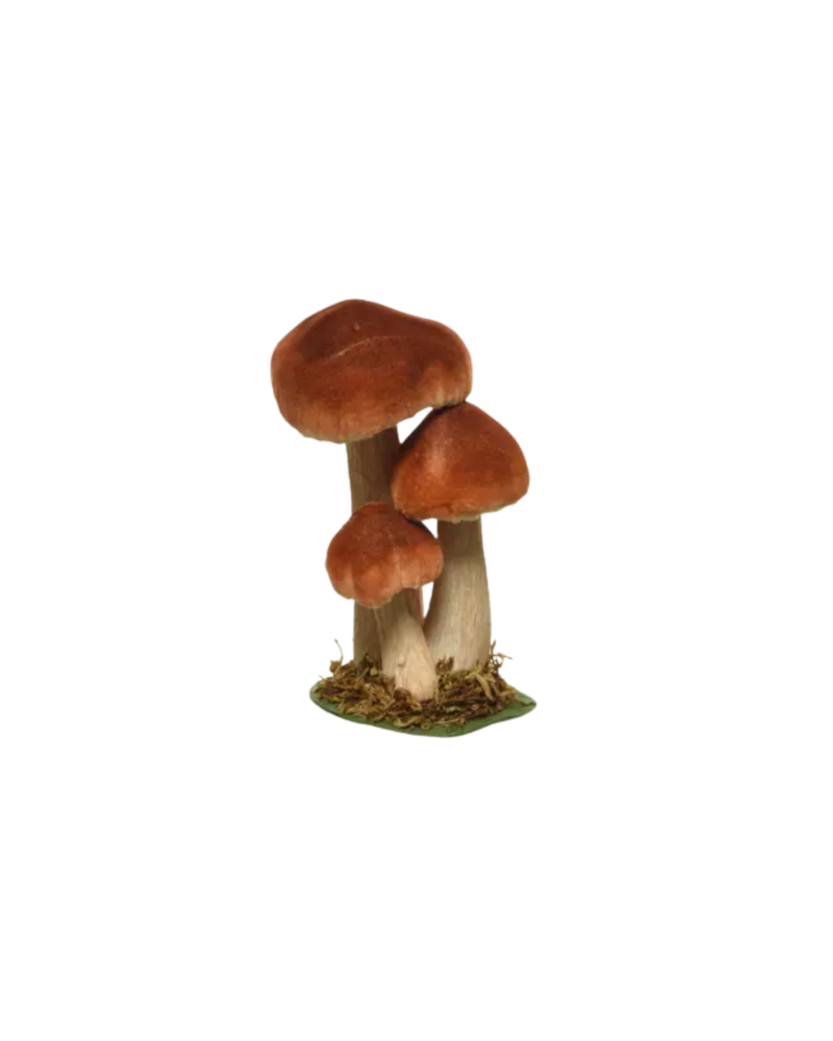 Samtpilz Rostrot, H 17 cm