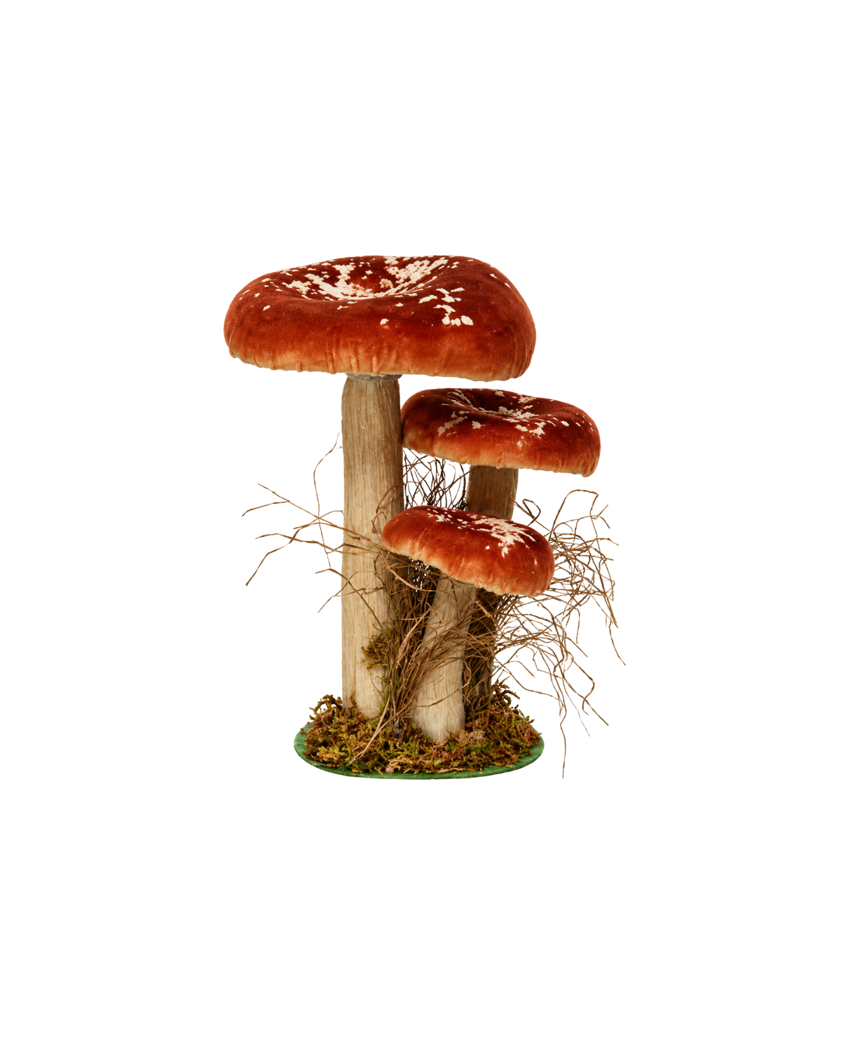 Samtpilz Rostrot, H 26 cm