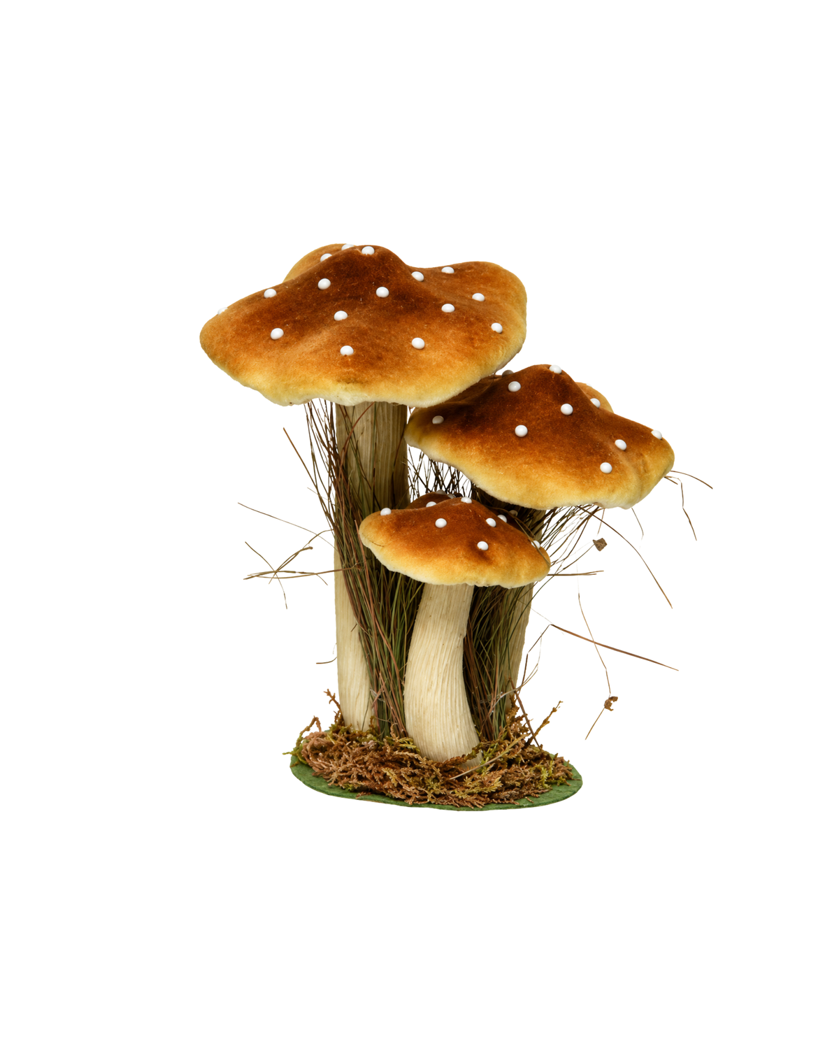 Samtpilz Braun, H 26 cm