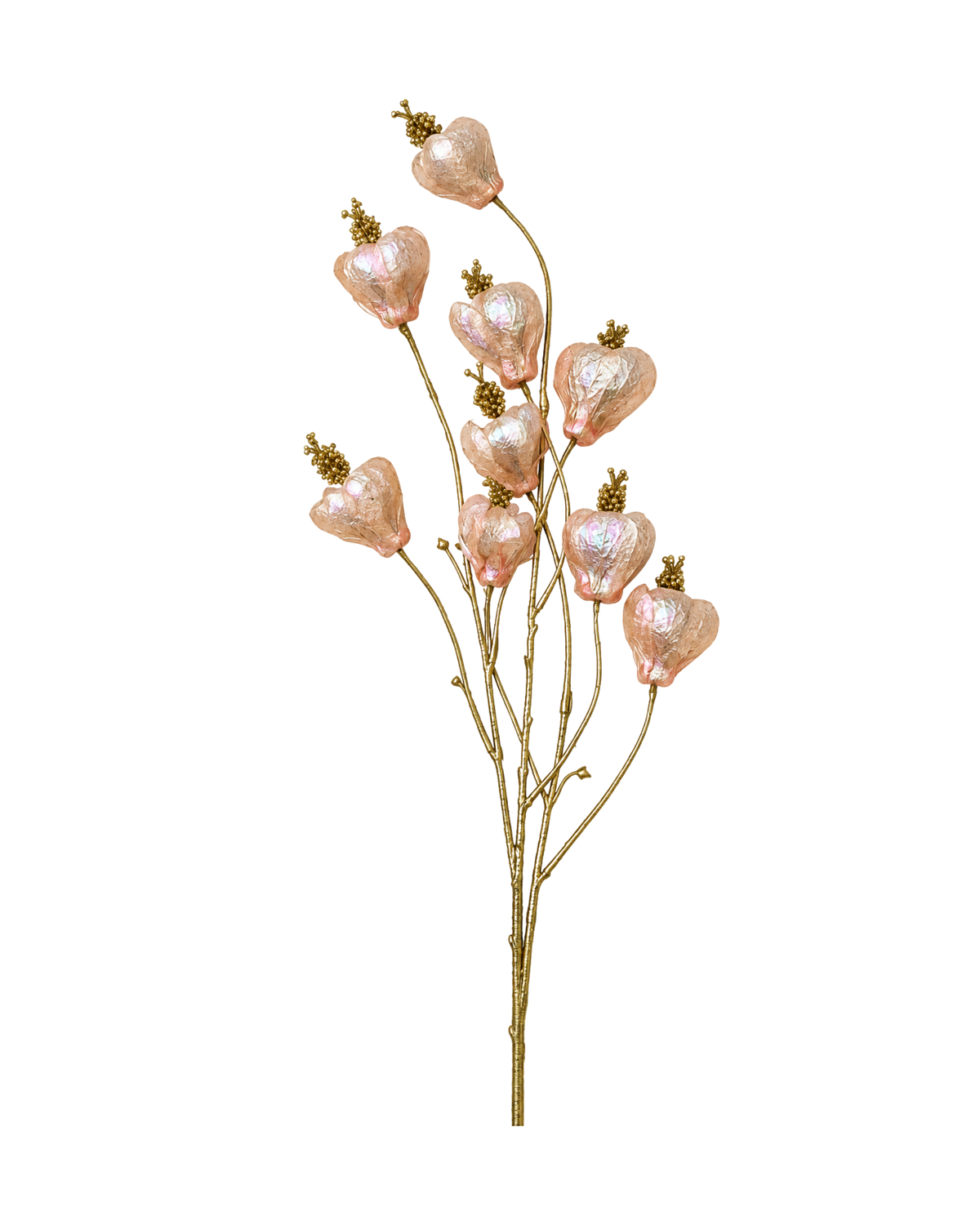 Physalis Gold Realtouch