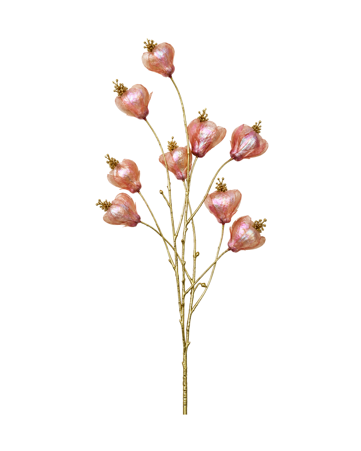 Physalis Rosa Realtouch