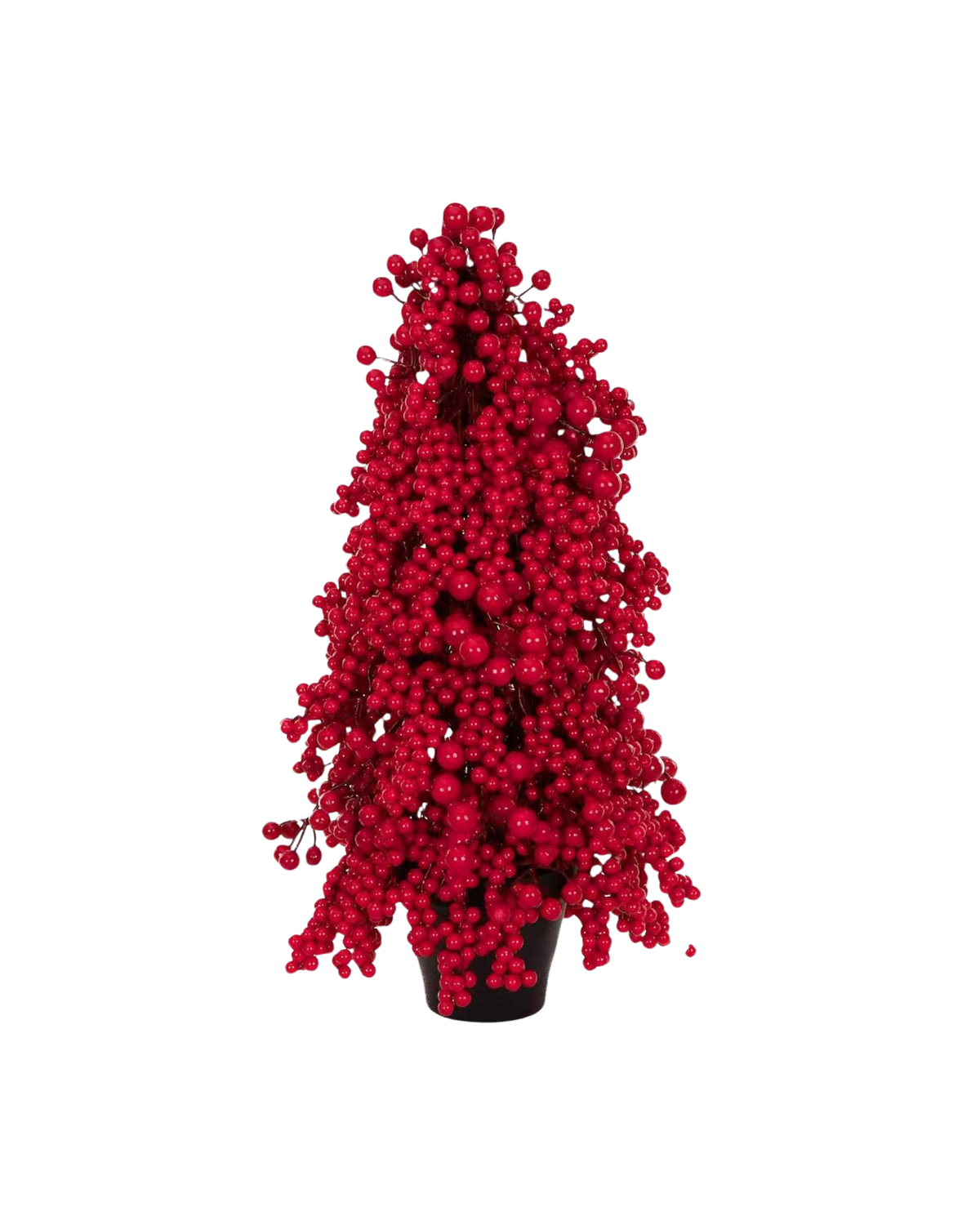 Beerenbaum im Topf Rot, H 53 cm