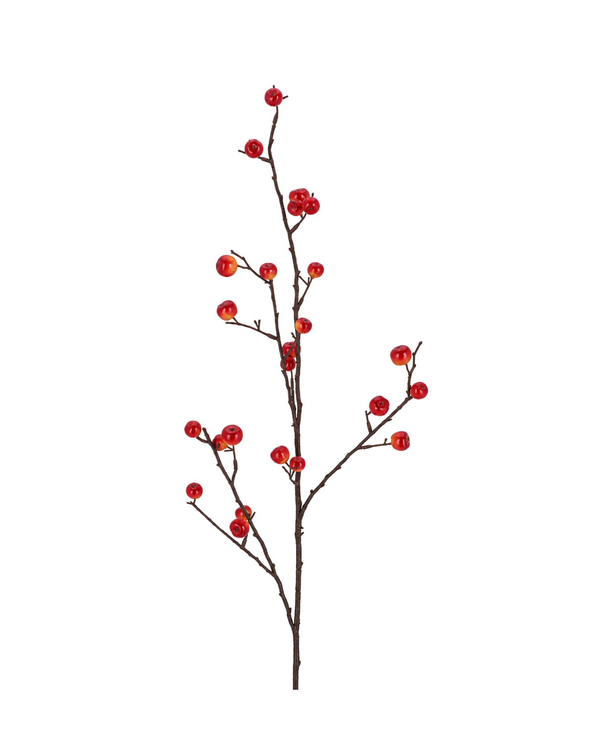 Apple Branch Real-Touch