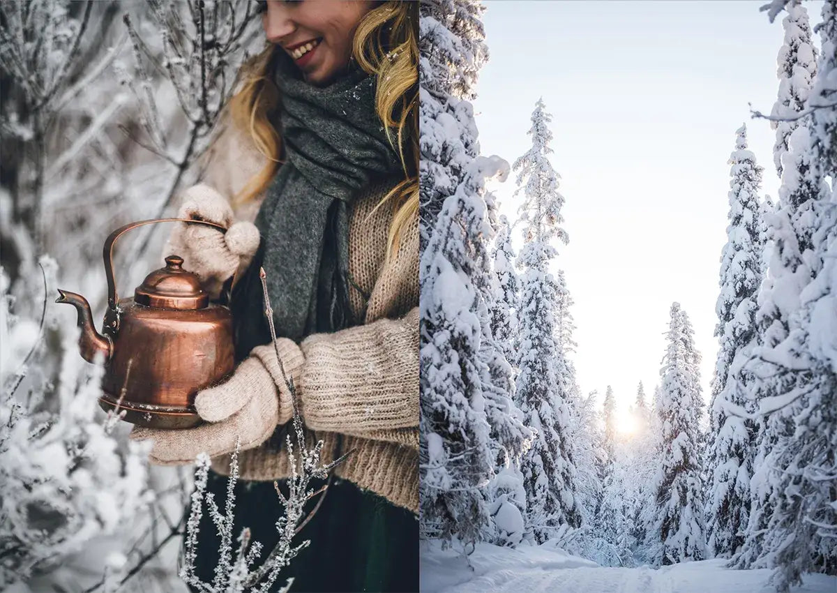 Nordisches Winter-Kochbuch