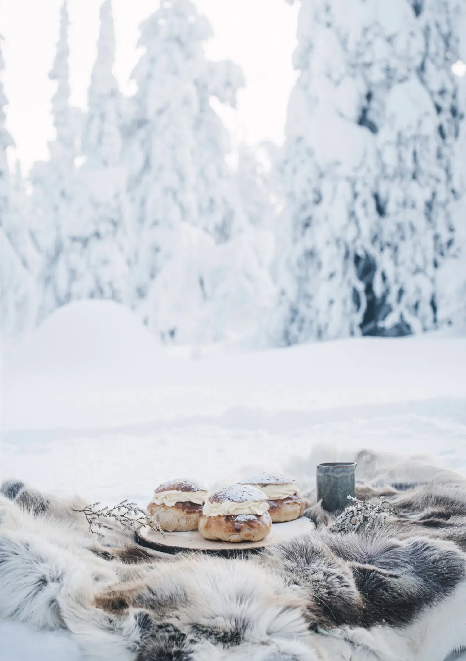 Nordisches Winter-Kochbuch